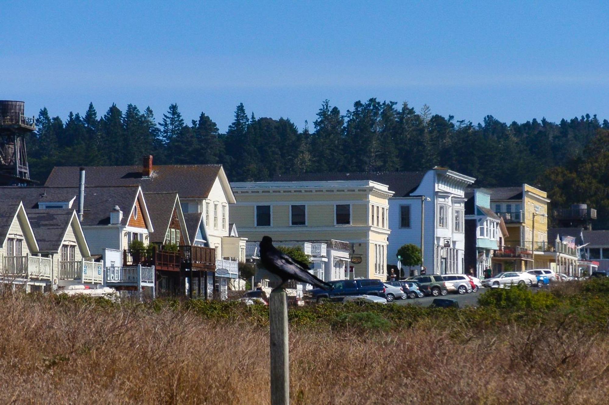 Mendocino Redwood Retreat - Vista Home Albion Zewnętrze zdjęcie