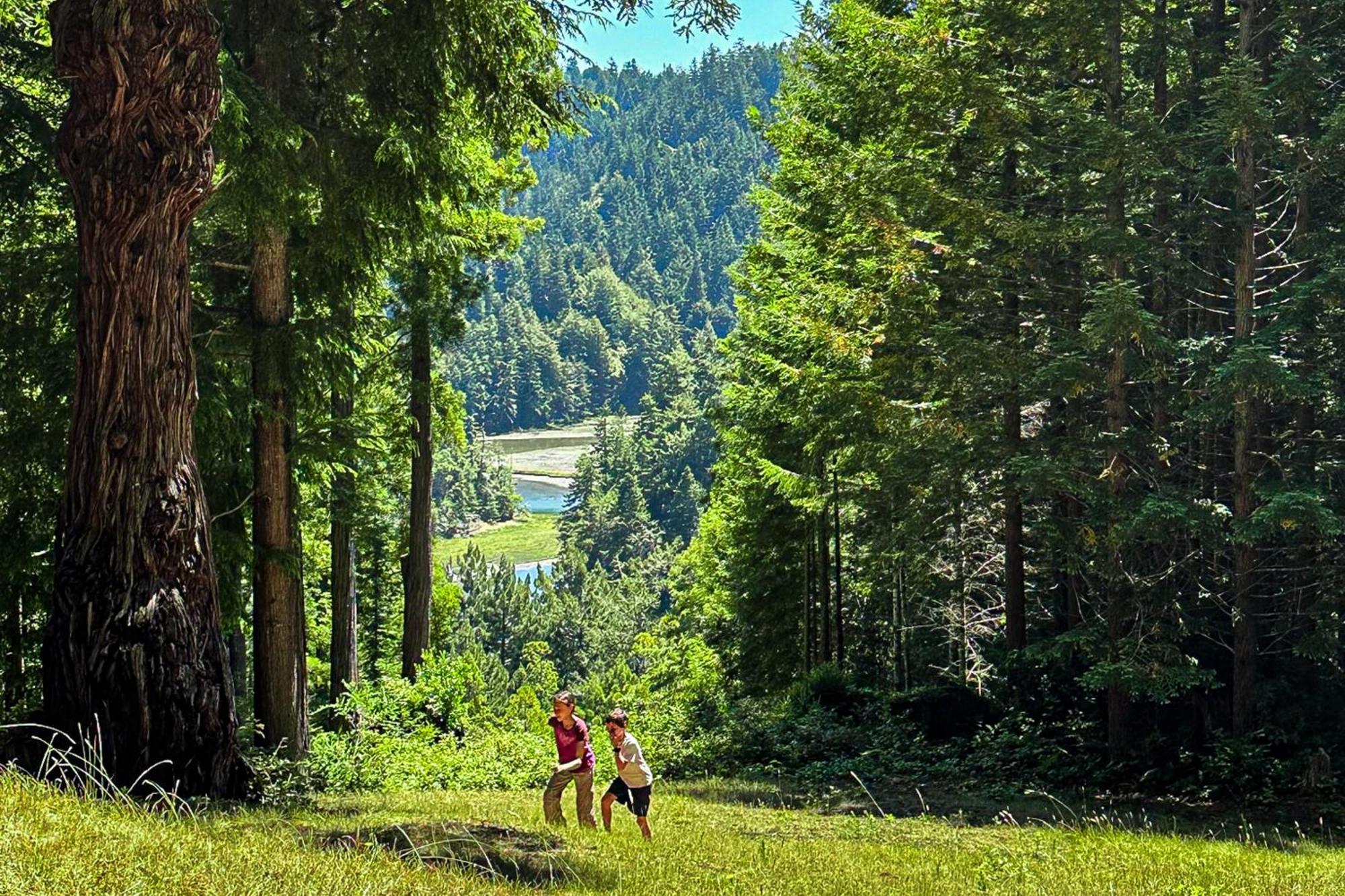 Mendocino Redwood Retreat - Vista Home Albion Zewnętrze zdjęcie